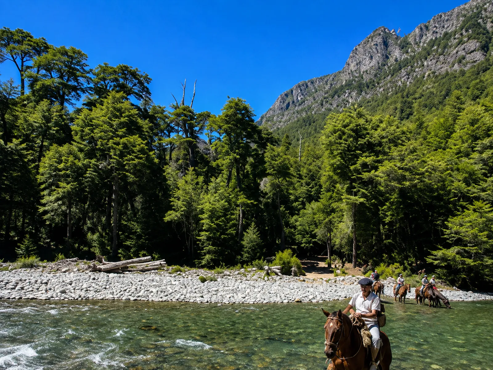 Cabalgata por la estepa y el bosque patagónico